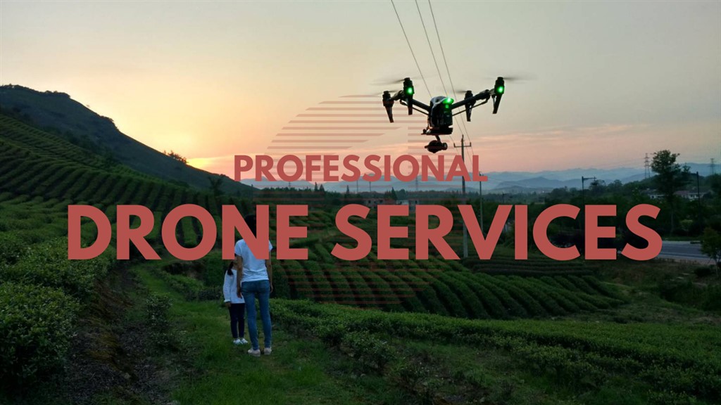 Hong Kong Drone Licensed Pilot